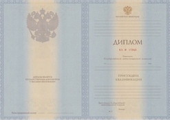 Диплом специалиста с 2012 по 2013 годы